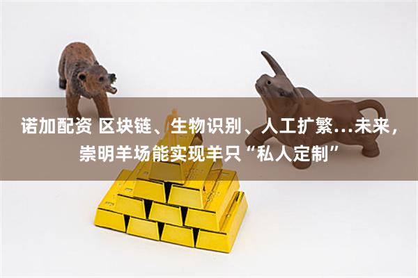 诺加配资 区块链、生物识别、人工扩繁…未来，崇明羊场能实现羊只“私人定制”