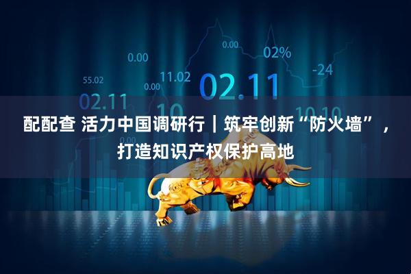 配配查 活力中国调研行｜筑牢创新“防火墙” ，打造知识产权保护高地