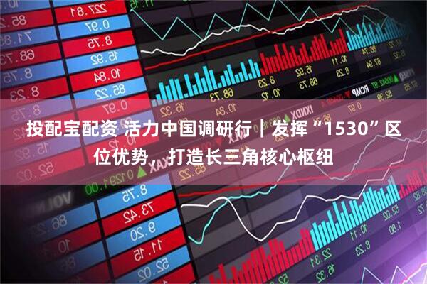 投配宝配资 活力中国调研行｜发挥“1530”区位优势，打造长三角核心枢纽