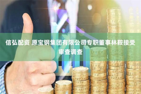 信弘配资 原宝钢集团有限公司专职董事林鞍接受审查调查