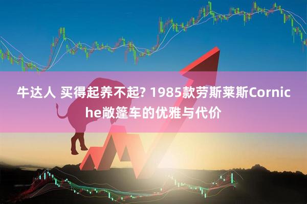 牛达人 买得起养不起? 1985款劳斯莱斯Corniche敞篷车的优雅与代价